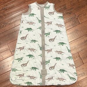 Burt's Bees Light Blue Dinosaur 🦕 beekeeper Swaddle Sac